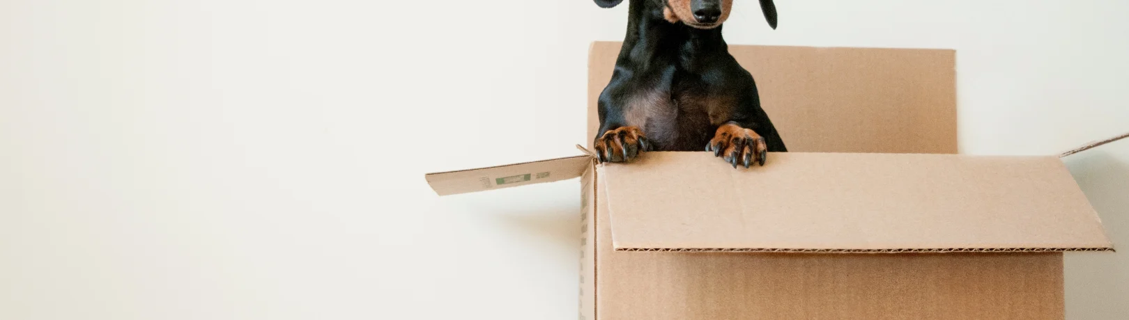 Moving Home